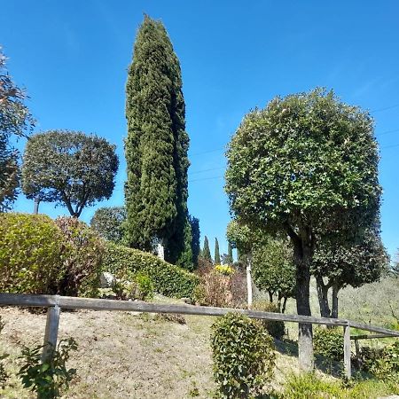 Villetta Dei Lecci Castelfiorentino Extérieur photo
