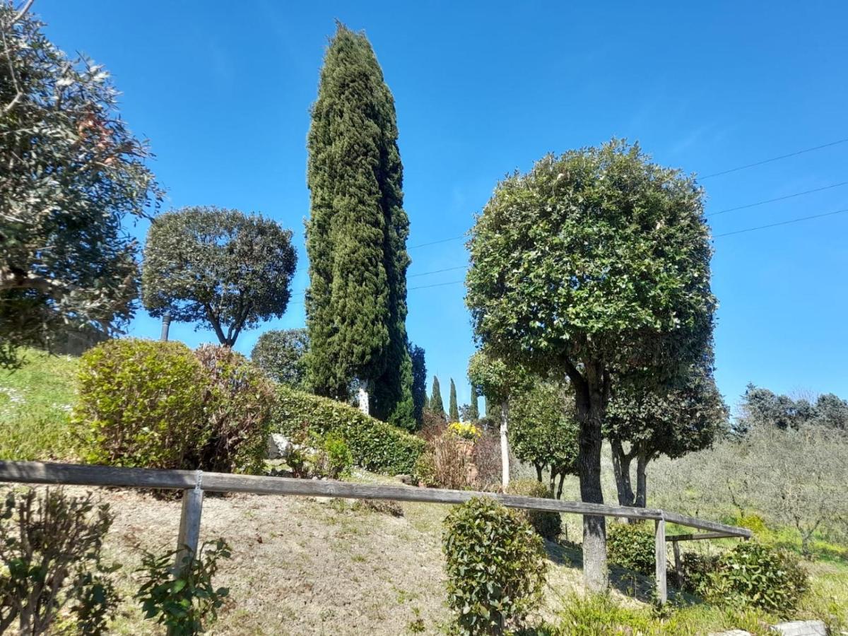 Villetta Dei Lecci Castelfiorentino Extérieur photo